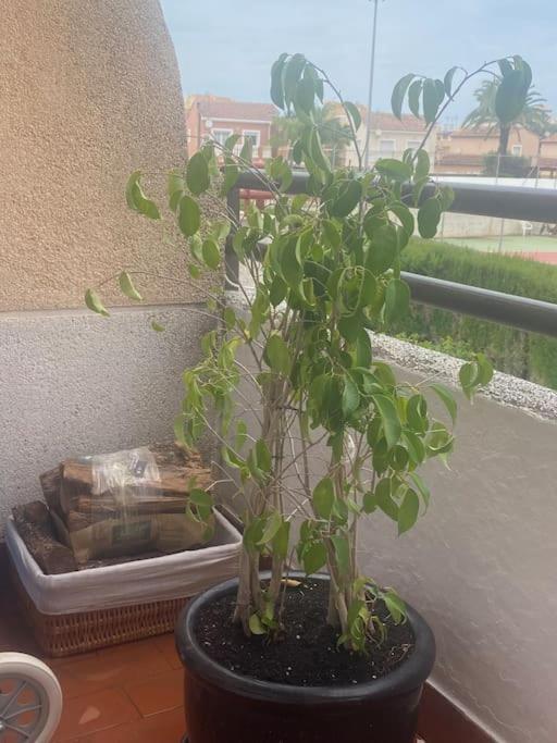 Aire Căn hộ