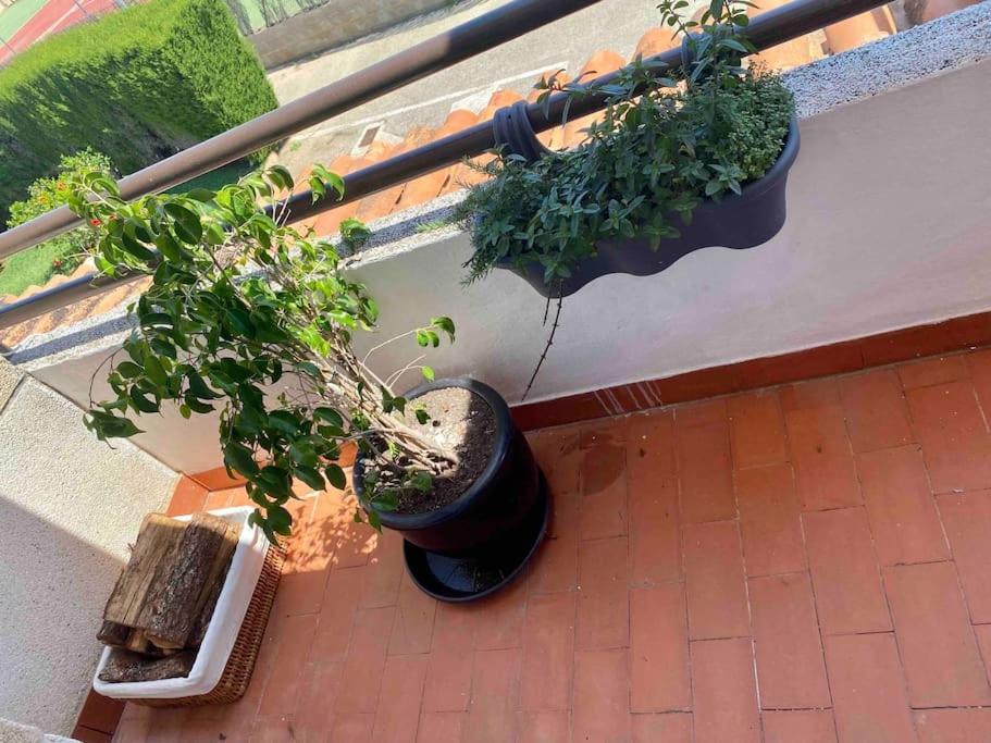 Aire Căn hộ